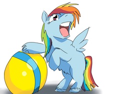 Size: 2048x1536 | Tagged: safe, artist:fluffsplosion, rainbow dash, fluffy pony, g4, ball