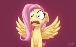 Size: 2560x1600 | Tagged: safe, artist:mysticalpha, fluttershy, pegasus, pony, g4, female, mare, open mouth, realization, scared, shocked, solo, spread wings, wallpaper