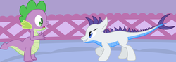 Size: 5000x1771 | Tagged: safe, artist:waveywaves, rarity, spike, dracony, hybrid, g4, dragonified, duo