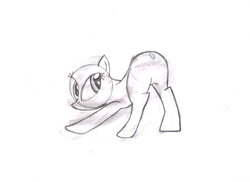 Size: 3510x2550 | Tagged: safe, twilight sparkle, g4, butt, featureless crotch, high res, looking back, pencil drawing, plot, traditional art, wip