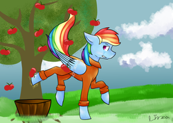 Size: 5787x4092 | Tagged: safe, artist:himitsuartmlp, rainbow dash, g4, absurd resolution, apple, apple tree, applebucking, bound wings, chains, clothes, community service, crying, female, jumpsuit, prison outfit, prisoner, prisoner rd, sad, solo, tree