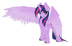 Size: 6400x4081 | Tagged: safe, artist:strachattack, twilight sparkle, alicorn, pony, g4, absurd resolution, alternate hairstyle, bedroom eyes, chest fluff, cute, ear fluff, female, fluffy, looking at you, mare, simple background, smiling, solo, spread wings, transparent background, twilight sparkle (alicorn), unshorn fetlocks, vector