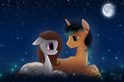 Size: 900x597 | Tagged: safe, artist:scheadar, oc, oc only, pegasus, pony, unicorn, blushing, female, grass, looking at each other, male, moon, prone, shipping, starry night, stars, straight