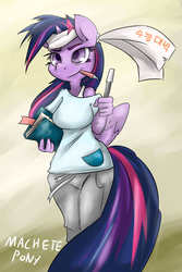 Size: 1280x1920 | Tagged: safe, artist:macheteponies, twilight sparkle, anthro, g4, book, clothes, female, headband, korean, pencil, solo, twilight sparkle (alicorn)