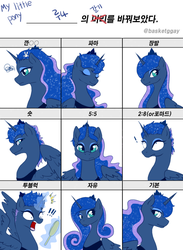 Size: 850x1162 | Tagged: safe, artist:yoonny92, princess luna, g4, alternate hairstyle, chart, female, korean, solo