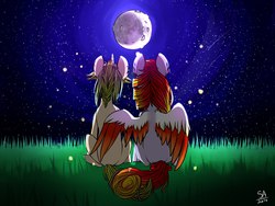 Size: 2560x1920 | Tagged: safe, artist:sunshineapple, oc, oc only, grass, moon, night, sitting, stars