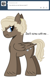 Size: 700x1083 | Tagged: safe, artist:dbkit, dumbbell, pegasus, pony, g4, ask, dumb belle, rule 63, simple background, solo, transparent background, tumblr