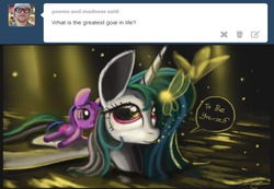 Size: 1280x886 | Tagged: safe, artist:auroriia, princess celestia, twilight sparkle, butterfly, g4, ask, askchrysalisandcelestia, female, plushie, solo, tumblr, water