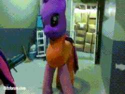 Size: 384x288 | Tagged: safe, applejack, pinkie pie, twilight sparkle, g4, abomination, animated, female, fusion, irl, nightmare fuel, philippines, photo, quadsuit, this isn't even my final form, what has magic done, what has science done, youtube link