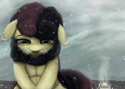 Size: 998x711 | Tagged: safe, artist:colorlesscupcake, bon bon, sweetie drops, earth pony, pony, g4, clothes, female, floppy ears, looking down, sad, scarf, snow, snowfall, solo, winter