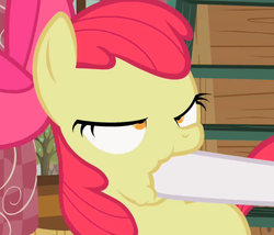 Size: 859x737 | Tagged: safe, screencap, apple bloom, sweetie belle, earth pony, pony, family appreciation day, g4, cropped, derp, female, filly, hoof in mouth, lidded eyes, out of context, solo focus