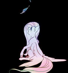 Size: 708x760 | Tagged: safe, artist:pasikon, fluttershy, pegasus, pony, g4, black background, feather, female, gradient, pixiv, simple background, solo, wings, wings down
