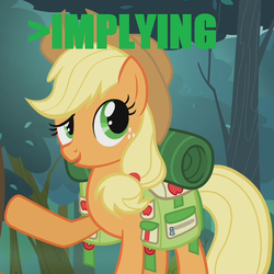 Size: 600x600 | Tagged: safe, edit, edited screencap, screencap, applejack, earth pony, pony, g4, my little pony: friendship is magic, sleepless in ponyville, caption, female, implying, mare, meme, text