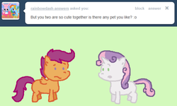 Size: 500x299 | Tagged: safe, scootaloo, sweetie belle, ask sweetie belle, g4, ask, tumblr