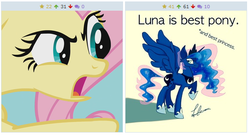 Size: 516x278 | Tagged: safe, artist:asklunaandx, fluttershy, princess luna, derpibooru, lunadoodle, g4, best pony, exploitable meme, juxtaposition, juxtaposition win, meme, meta