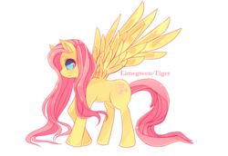 Size: 1000x688 | Tagged: safe, artist:limegreen-tiger, fluttershy, g4, female, solo