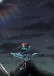 Size: 961x1359 | Tagged: safe, artist:azzu-nyan, rainbow dash, g4, female, night, sitting, sky, solo, spread wings, windswept mane