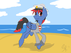 Size: 15598x11686 | Tagged: safe, artist:bravokrofski, artist:sitrirokoia, oc, oc only, oc:bravo, pegasus, pony, absurd resolution, beach, blue, male, ocean, sand, solo