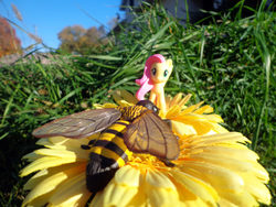 Size: 900x675 | Tagged: safe, artist:lee-sherman, fluttershy, bee, g4, flower, irl, photo, toy