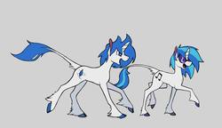 Size: 1360x781 | Tagged: safe, artist:enma-darei, dj pon-3, vinyl scratch, oc, oc:rough draft, classical unicorn, pony, unicorn, g4, cloven hooves, horn, leonine tail