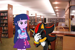Size: 1024x689 | Tagged: safe, twilight sparkle, equestria girls, g4, book, crossover, facepalm, library, male, shadow the hedgehog, smug, smuglight sparkle, sonic the hedgehog, sonic the hedgehog (series)