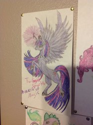 Size: 1024x1371 | Tagged: safe, artist:crazyaniknowit, twilight sparkle, alicorn, pony, g4, female, mare, solo, traditional art, twilight sparkle (alicorn)