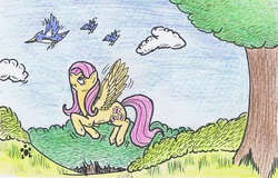 Size: 950x608 | Tagged: safe, artist:loupgaros, fluttershy, bird, g4, cloud, female, solo, traditional art, tree