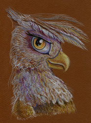 Size: 600x807 | Tagged: safe, artist:maytee, gilda, griffon, g4, female, portrait, profile, solo, traditional art