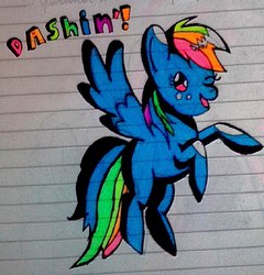 Size: 960x999 | Tagged: safe, artist:katequantum, rainbow dash, pegasus, pony, g4, female, lined paper, solo, traditional art
