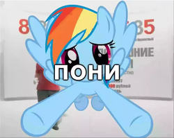 Size: 601x478 | Tagged: safe, rainbow dash, g4, advertisement, context is for the weak, domashniye den'gi, meme, ponified meme, pun, russian, russian youtube poop, youtube link, youtube poop