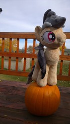 Size: 918x1632 | Tagged: safe, artist:zombies8mywaffle, daring do, g4, cute, daring dorable, for sale, halloween, handmade, irl, photo, plush for sale, plushie, pumpkin