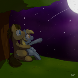 Size: 1000x1000 | Tagged: safe, artist:slypon, derpy hooves, doctor whooves, time turner, pegasus, pony, g4, cuddling, female, male, mare, moon, night, pointing, ship:doctorderpy, shipping, snuggling, stargazing, stars, straight