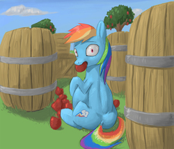 Size: 1200x1029 | Tagged: safe, artist:difetra, rainbow dash, g4, apple, barrel, belly, caught, dock, eating, female, looking at you, looking back, mouth hold, nom, sitting, solo, stuffed, stuffing, tubby wubby pony waifu, wide eyes, wingless