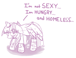 Size: 1050x801 | Tagged: safe, artist:miroslav46, twilight sparkle, alicorn, pony, g4, clothes, dialogue, female, homeless, homeless twilight, hungry, mare, sad, socks, twilight sparkle (alicorn)