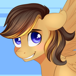 Size: 900x900 | Tagged: safe, oc, oc only, pegasus, pony, floppy ears, portrait, smiling, solo