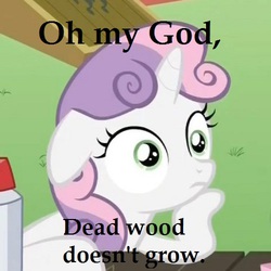 Size: 500x500 | Tagged: safe, sweetie belle, g4, exploitable meme, image macro, meme, sudden clarity sweetie belle