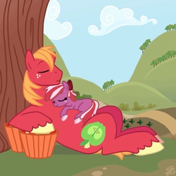 Size: 1400x1400 | Tagged: safe, artist:psponyartist, big macintosh, oc, oc:red june, earth pony, pony, g4, father and daughter, filly, male, missing accessory, offspring, parent:big macintosh, parent:cheerilee, parents:cheerimac, sleeping, snuggling, stallion, unshorn fetlocks