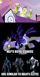 Size: 1494x2867 | Tagged: safe, bat pony, pony, g4, comparison, elite, exploitable meme, halo (series), meme, night guard, royal guard