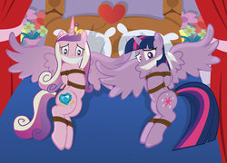 Size: 1024x739 | Tagged: safe, artist:radiantrealm, princess cadance, twilight sparkle, alicorn, pony, g4, bed, belly button, bondage, cloth gag, duo, female, femsub, gag, help us, mare, rope, show accurate, sisters-in-law, subdance, submissive, twilight sparkle (alicorn), twisub