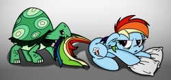 Size: 1600x748 | Tagged: safe, artist:arthur9078, artist:dfectivedvice, rainbow dash, tank, g4, biting, pillow, tail bite, tail pull