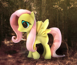 Size: 659x556 | Tagged: safe, fluttershy, g4, female, solo