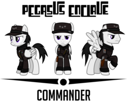 Size: 1024x824 | Tagged: safe, artist:brisineo, pegasus, pony, fallout equestria, clothes, enclave, grand pegasus enclave, hat, holster, vector