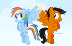 Size: 1320x840 | Tagged: safe, artist:dm29, rainbow dash, oc, g4, duo