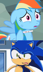 Size: 476x795 | Tagged: safe, rainbow dash, pony, g4, copy and paste, crossover, crossover shipping, downvote bait, female, interspecies, interspecies offspring, male, pregnancy test, pregnancy test meme, shipping, sonic the hedgehog, sonic the hedgehog (series), sonic x, sonicdash, straight