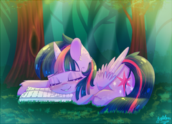 Size: 600x432 | Tagged: safe, artist:gnidagovnida, twilight sparkle, alicorn, pony, g4, book, ear fluff, eyes closed, female, forest, mare, paper, shiny, sleeping, solo, twilight sparkle (alicorn), unshorn fetlocks