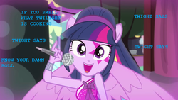 Size: 1280x720 | Tagged: safe, derpibooru exclusive, twilight sparkle, equestria girls, g4, my little pony equestria girls: rainbow rocks, attitude era, backstage, lyrics, microphone, misspelling, ponied up, the rock, twilight sparkle (alicorn), wallpaper, wwe, wwf