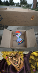 Size: 1280x2444 | Tagged: safe, rainbow dash, pegasus, pony, fanfic:my little dashie, g4, dio brando, evil people finding dash meme, exploitable meme, face, faic, jojo's bizarre adventure, meme