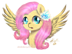 Size: 1600x1200 | Tagged: safe, artist:chichicherry123, fluttershy, pegasus, pony, g4, bust, female, flower, flower in hair, mare, open mouth, portrait, simple background, solo, spread wings, transparent background, wings