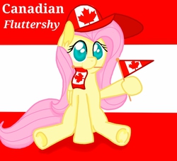 Size: 1100x1000 | Tagged: safe, artist:misty98, fluttershy, g4, canada, female, solo