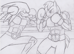 Size: 1652x1211 | Tagged: safe, artist:sonigoku, big macintosh, earth pony, anthro, g4, boxing, boxing gloves, crossover, knuckles the echidna, male, muscles, sonic the hedgehog (series), traditional art